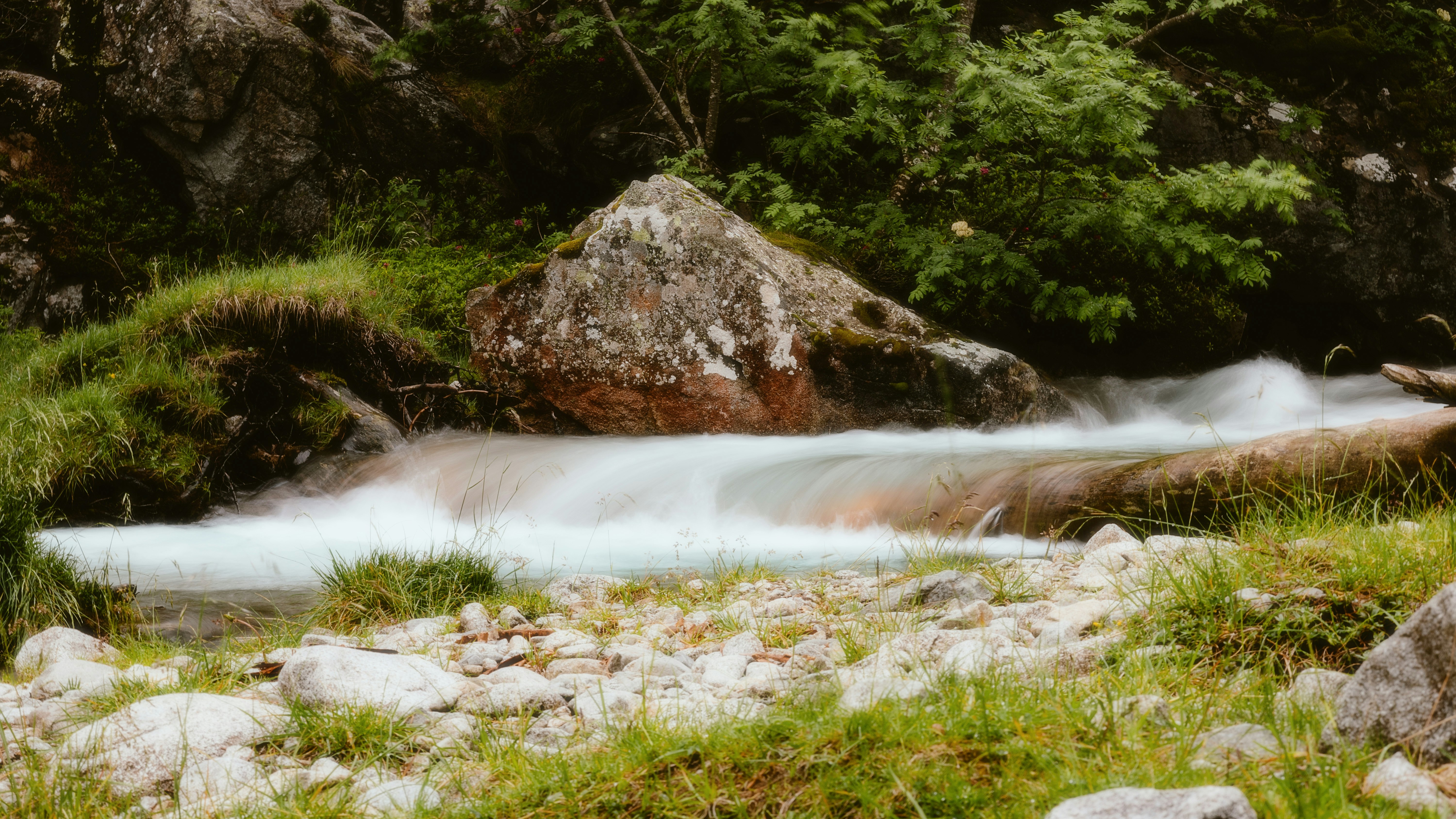 В сквере на Ленинском проспекте появился новый рокарий
