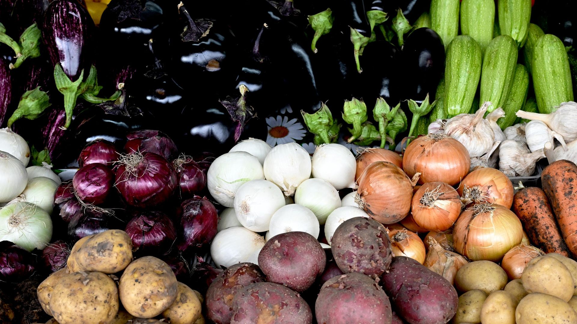 Диетолог объяснила, какие продукты стоит употреблять в жаркую погоду
